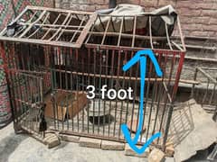 Heavy-Duty Steel Chicken Cage – 100kg Solid Frame – Ideal for Poultry