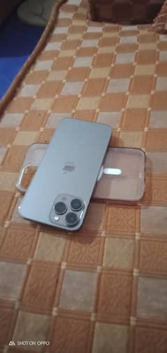 Apple iPhone 13 Pro Max