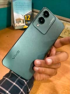 Vivo
