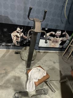 Leg raises and twister