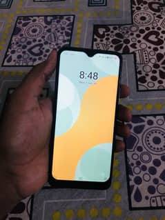 vivo