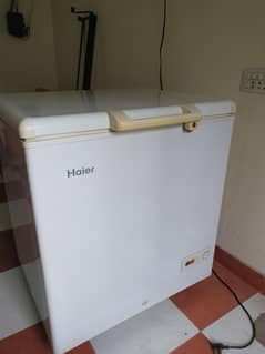 Haier Single door chest freezer