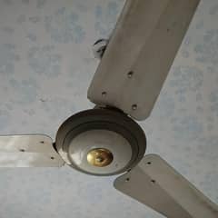 PAK FAN