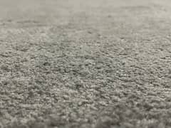 2 Layer Carpet for Room / Guest Room
