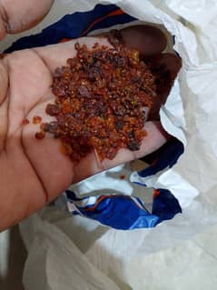 Rs 4000 warnesh siler polish dabba pack