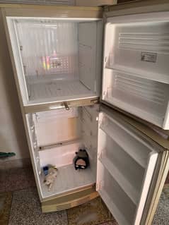Pel Refrigerator condition 100% working