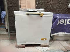 freezer