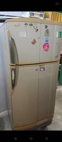 pell fridge all okay