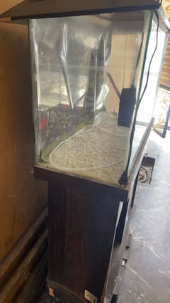 Fish Aquarium