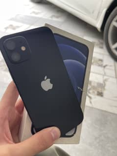 Iphone 12 pta approved