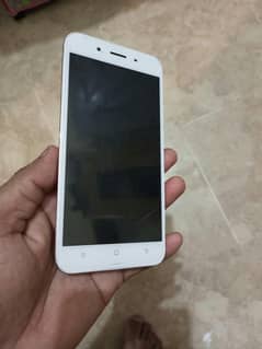 vivo y66