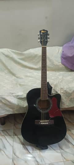 Semi Acoustic Guitar