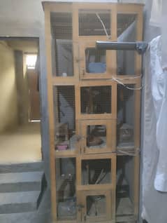 pure wood cage