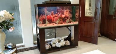 Browno Aquarium