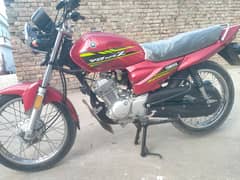 lush condition ,no scratches