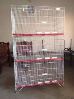 Love Bird/Java/ring neck/cocktail bird Cage