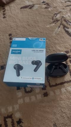 sound life mini earpouds