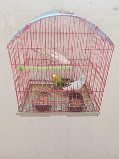 bugies for sale