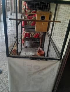Parrot cage for sale