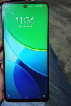 vivo