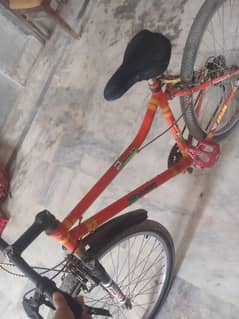 just like a new cycle