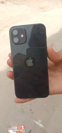 I phone Apple 12