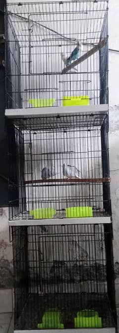 bird cage for sale without birds