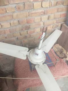 urgent sale yunus fan used with 100% copper winding