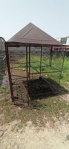 Hen cage, dog and parrot cage
