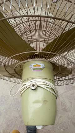 pedastel fan