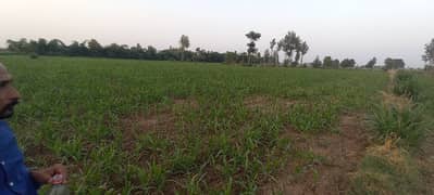 12 Knaal Agriculture Land Moza Badarpur Sui Asel Road
