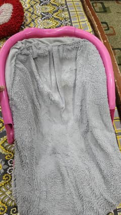carry coat