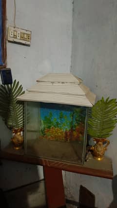 Aquarium