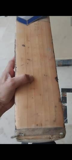 Hard Ball Cricket Bat English Willow