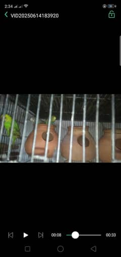 4pair