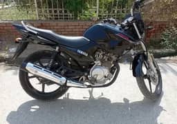 ybr2019 model