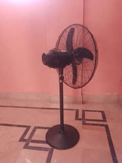 Royal Pedestal Fan