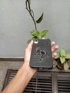 iPhone xr factory unlock