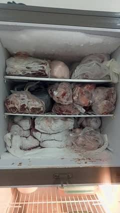 pel Refrigerator