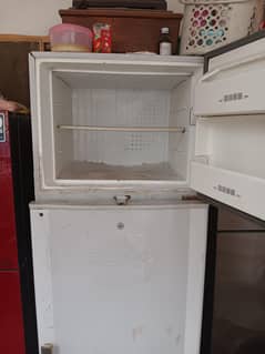 freeze