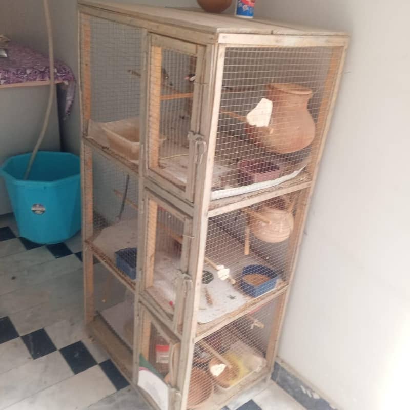 finch and java breader pair with cage 2