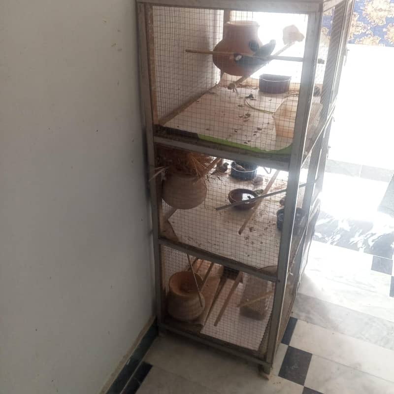 finch and java breader pair with cage 3