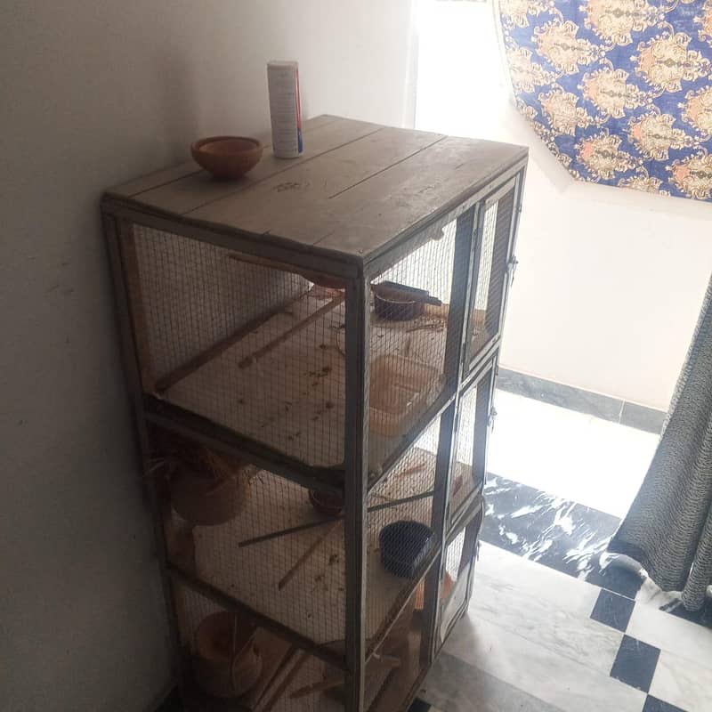 finch and java breader pair with cage 8