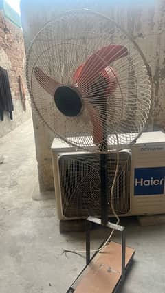 Fan