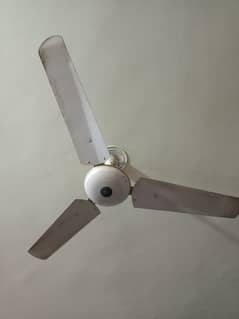 ceiling
