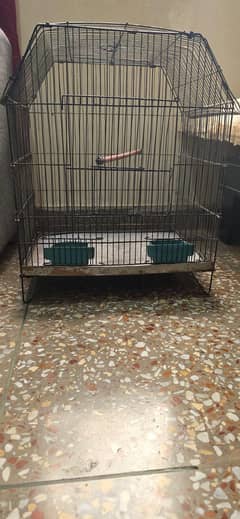 Bird Cages