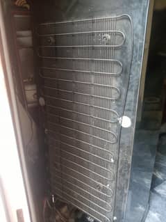 Fridge Singer