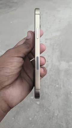 iPhone 12pro