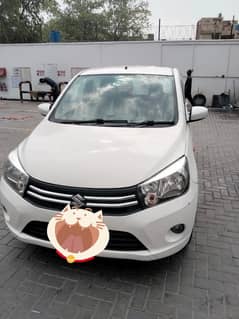 cultus vxl
