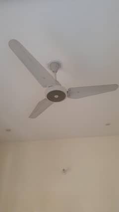 ceiling